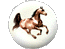 Solo Acres Boarding Stable is a member of Bay Area Equestrian