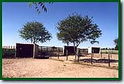 Horse Paddocks at Solo Acres Boarding Stables