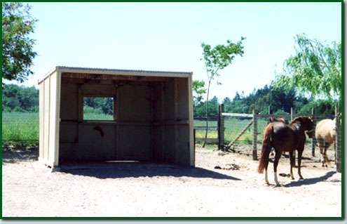 Horse Boarding Facility with Outdoor Shelter