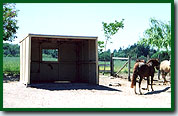 Horse Boarding Facility with Outdoor Shelter