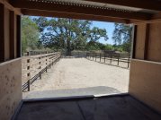 Personalized Equine Care in Sonoma County