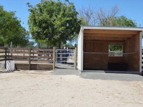 Horse Boarding Facility with Outdoor Shelter